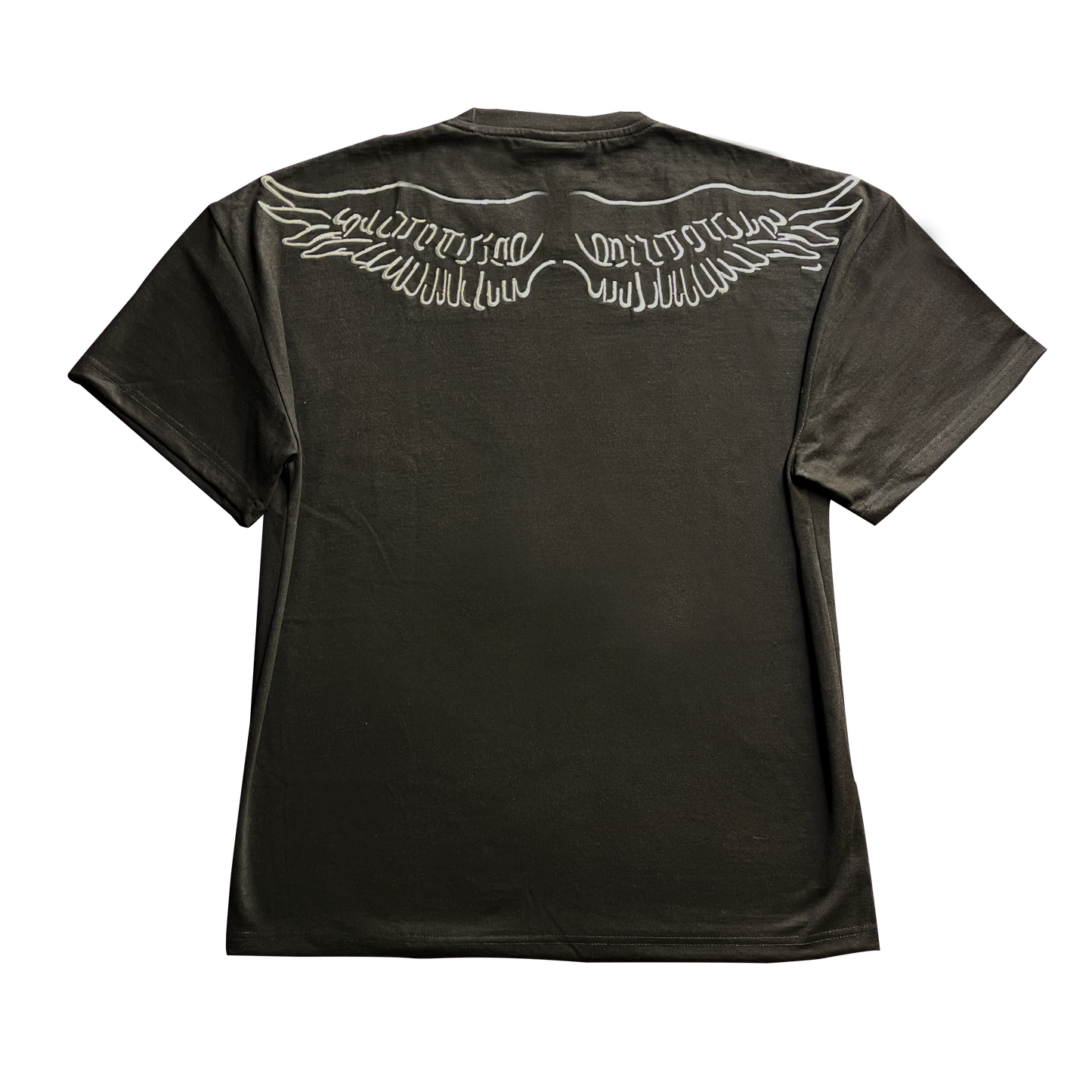 EAGLE WINGS